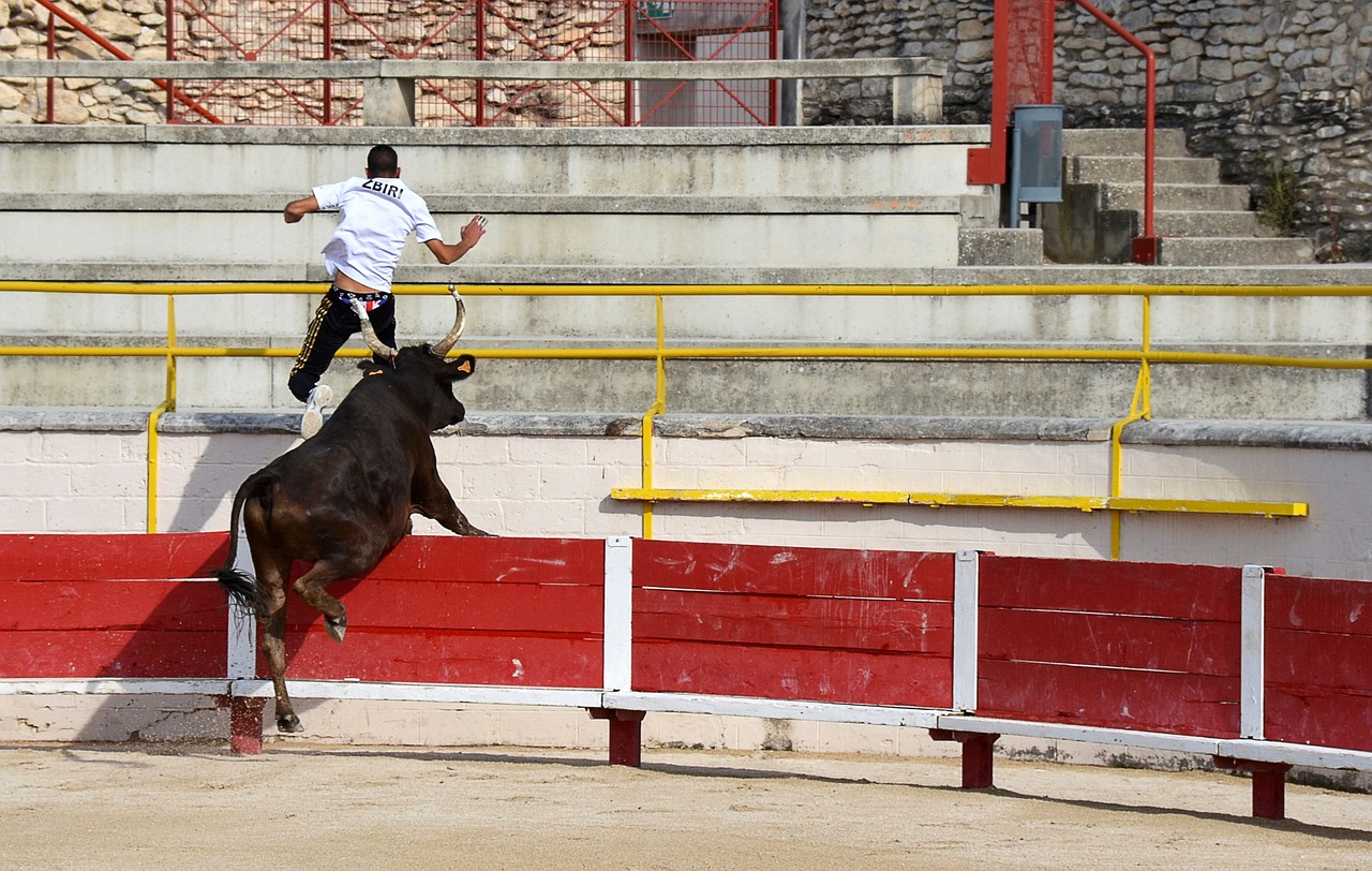 boldn