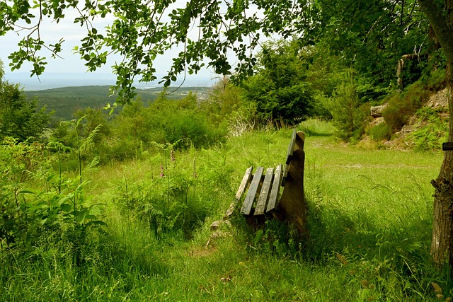 队内的默契 队内的默契