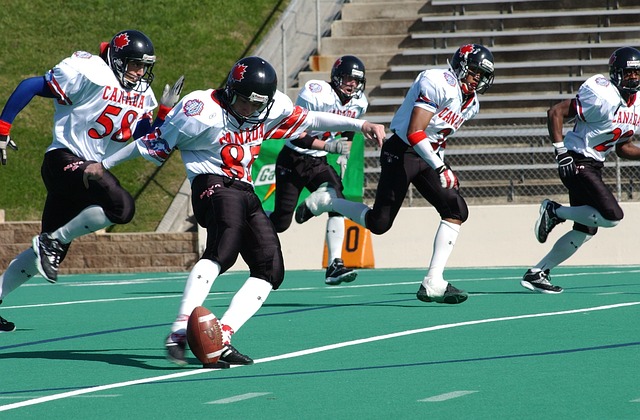 运动员的综 运动员的综