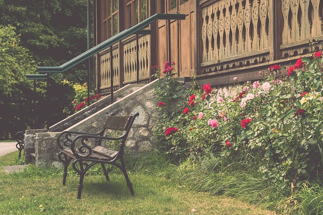 理层的决策 理层的决策