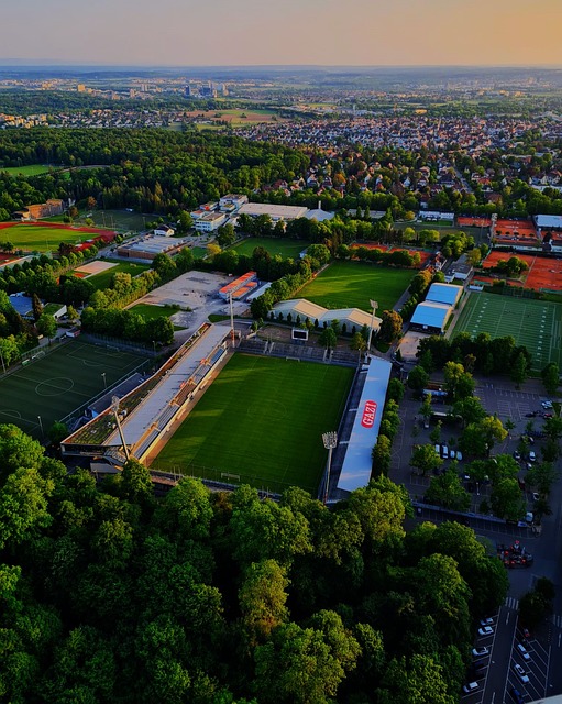 从詹姆斯的 从詹姆斯的