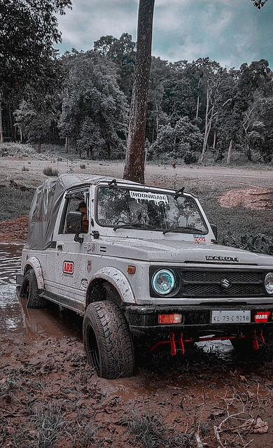 经验丰富的 经验丰富的