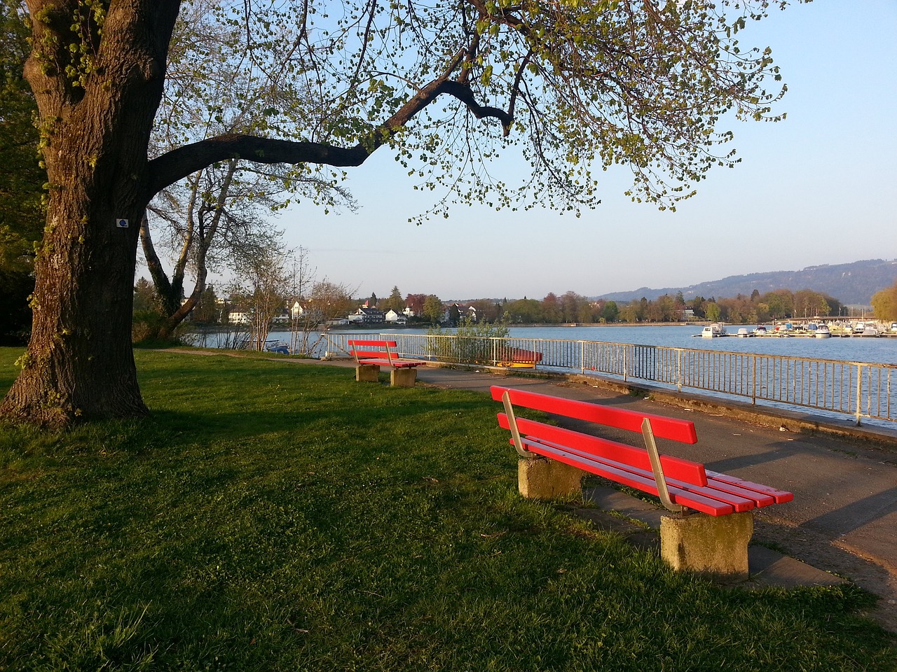 围内引发了 围内引发了